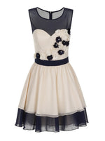 Embroidered Skater Dress - FrouFrou Couture