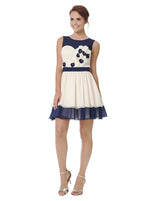 Embroidered Skater Dress - FrouFrou Couture