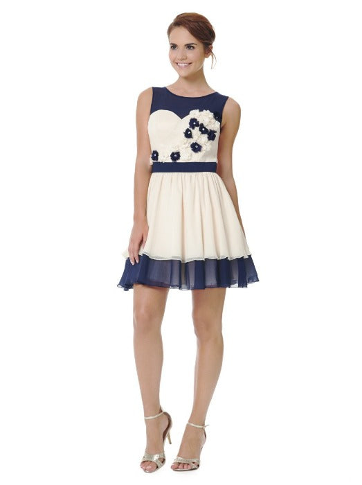 Embroidered Skater Dress - FrouFrou Couture