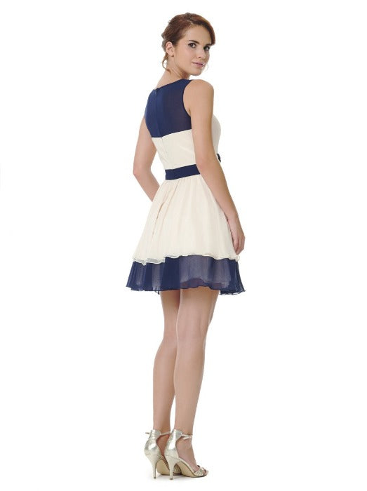 Embroidered Skater Dress - FrouFrou Couture