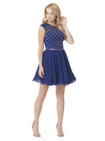 Beaded Sleevless Chiffon Skater Dress - FrouFrou Couture